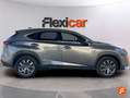 Lexus NX 300 300h F Sport 4WD Grau - thumbnail 8