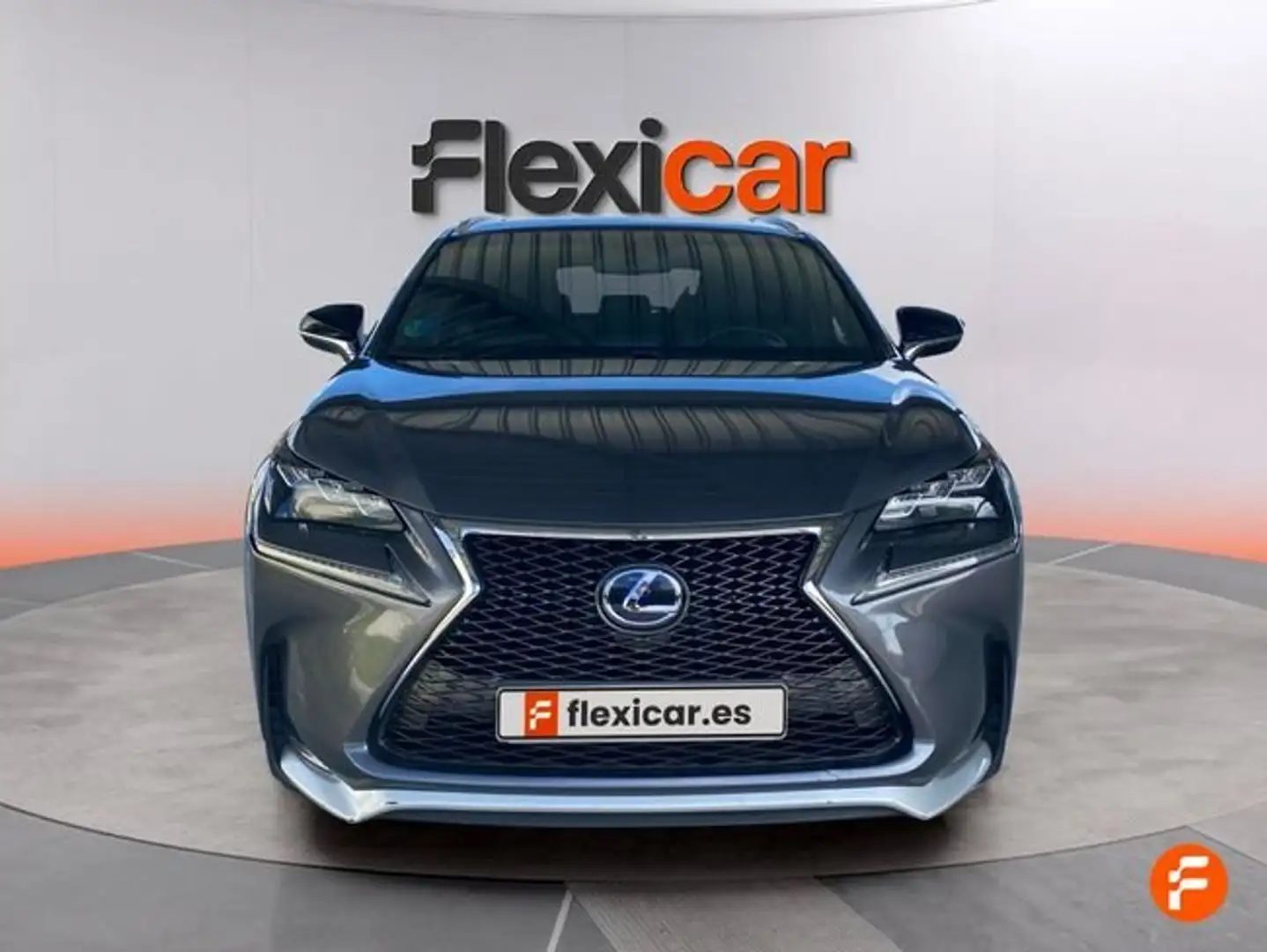 Lexus NX 300 300h F Sport 4WD Grau - 2