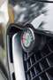 Alfa Romeo Stelvio 2.9 Bi-Turbo Q4 Quadrifoglio AT8 - thumbnail 8