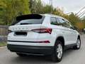 Skoda Kodiaq Kodiaq 1.5 TSI ACT Ambition Blanc - thumbnail 4