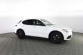 Alfa Romeo Stelvio ALFA ROMEO Stelvio 2.2 Turbodiesel 150 CV AT8 RWD Bianco - thumbnail 2