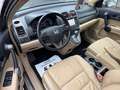 Honda CR-V Executive 4WD*Aut*Nav*Kam*Xen*AHK*Pano*Szhz Beige - thumbnail 12