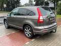 Honda CR-V Executive 4WD*Aut*Nav*Kam*Xen*AHK*Pano*Szhz Beige - thumbnail 6