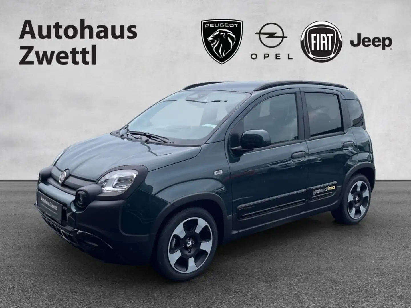 Fiat Panda Pandina PT 70 Grün - 1