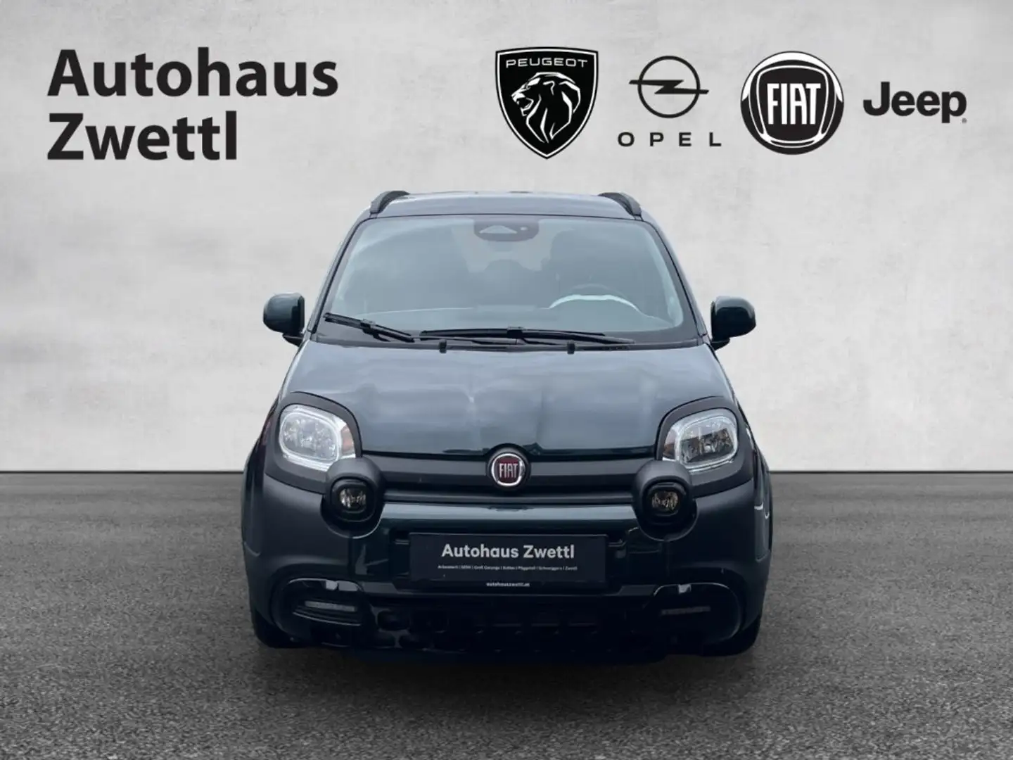 Fiat Panda Pandina PT 70 Grün - 2