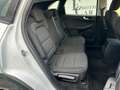 Ford Kuga 1.5 EcoBlue 120 CV 2WD Connect - 2020 Blanco - thumbnail 25