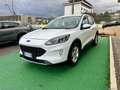 Ford Kuga 1.5 EcoBlue 120 CV 2WD Connect - 2020 Blanco - thumbnail 3
