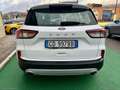 Ford Kuga 1.5 EcoBlue 120 CV 2WD Connect - 2020 Blanco - thumbnail 5