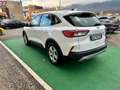 Ford Kuga 1.5 EcoBlue 120 CV 2WD Connect - 2020 Blanco - thumbnail 4