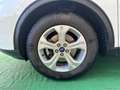 Ford Kuga 1.5 EcoBlue 120 CV 2WD Connect - 2020 Blanco - thumbnail 27