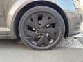 Audi A3 1.6 TDI 105 DPF Ambition TOIT OUVRANT Grau - thumbnail 12