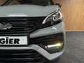 Ligier JS 50 Ultimate Sport Nardo / 8 PS Leiser DCI / Servolenk Grau - thumbnail 6