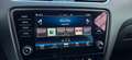 Skoda Octavia Combi RS 245+Kamera+App+Navi+DSG+ Grau - thumbnail 14