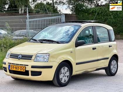 Fiat Panda 1.2 Dynamic/inruilkoopie/panoramadakie