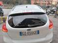 Ford Focus Focus IV 2015 5p 1.6 Titanium Gpl 120cv my17 Blanc - thumbnail 7