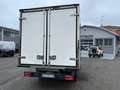 Iveco Daily 35S16 2.3 HPT PM Cabinato Frigo Bianco - thumbnail 5