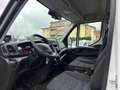 Iveco Daily 35S16 2.3 HPT PM Cabinato Frigo Bianco - thumbnail 8