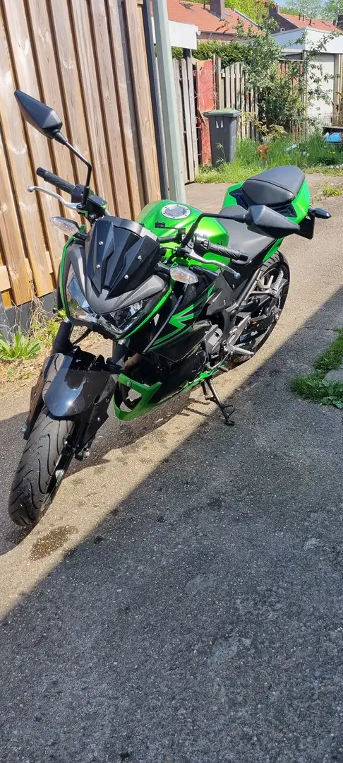 Kawasaki Z 300 Performance ABS Groen - 1