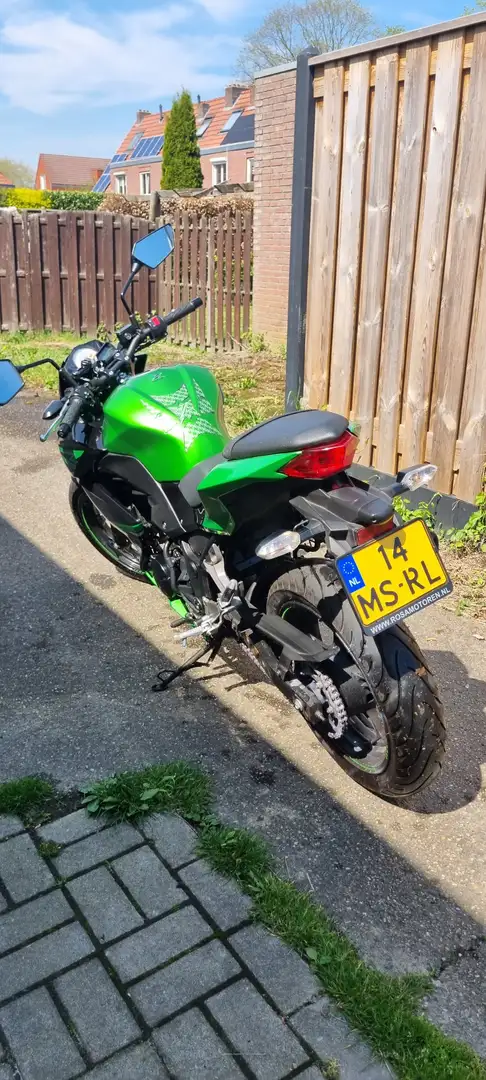 Kawasaki Z 300 Performance ABS Groen - 2