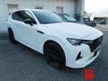Mazda CX-60 CX-60 3.3L e-Skyactiv D 249 CV M Hybrid AWD Homura Blanco - thumbnail 3