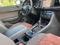 SEAT Ateca 2.0 TDI 190 CV 4DRIVE DSG XCELLENCE Blauw - thumbnail 19
