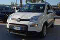 Fiat Panda 1.0 firefly hybrid 69CV City Life S&S USB Uf Italy Bianco - thumbnail 3