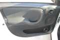 Fiat Panda 1.0 firefly hybrid 69CV City Life S&S USB Uf Italy Bianco - thumbnail 8
