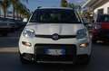 Fiat Panda 1.0 firefly hybrid 69CV City Life S&S USB Uf Italy Bianco - thumbnail 2