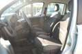 Fiat Panda 1.0 firefly hybrid 69CV City Life S&S USB Uf Italy Bianco - thumbnail 9