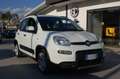 Fiat Panda 1.0 firefly hybrid 69CV City Life S&S USB Uf Italy Bianco - thumbnail 1