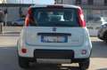 Fiat Panda 1.0 firefly hybrid 69CV City Life S&S USB Uf Italy Bianco - thumbnail 5