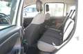 Fiat Panda 1.0 firefly hybrid 69CV City Life S&S USB Uf Italy Bianco - thumbnail 10