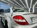 Mercedes-Benz SLK 280 Gris - thumbnail 12