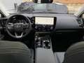 Lexus NX 350h Privilege Line+360°cam+navi+pa Argent - thumbnail 29