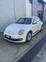 Volkswagen New Beetle 1.9 tdi 105cv - thumbnail 2