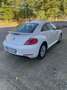 Volkswagen New Beetle 1.9 tdi 105cv - thumbnail 5
