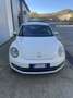 Volkswagen New Beetle 1.9 tdi 105cv - thumbnail 3