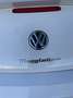 Volkswagen New Beetle 1.9 tdi 105cv - thumbnail 12