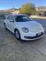 Volkswagen New Beetle 1.9 tdi 105cv - thumbnail 1