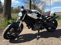 Ducati Monster 696 Wit - thumbnail 14