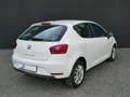 SEAT Ibiza 1.4 TDI 90 CV 5p. SOL Bianco - thumbnail 3