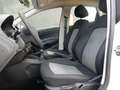 SEAT Ibiza 1.4 TDI 90 CV 5p. SOL Bianco - thumbnail 8