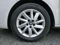 SEAT Ibiza 1.4 TDI 90 CV 5p. SOL Bianco - thumbnail 5