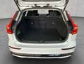 Volvo V60 B4 Plus-Dark Aut Glasd 360° Standh BLIS PilotA Weiß - thumbnail 5