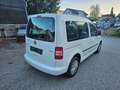Volkswagen Caddy Trendline EcoFuel Servicegepflegt Weiß - thumbnail 5