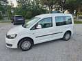 Volkswagen Caddy Trendline EcoFuel Servicegepflegt Weiß - thumbnail 2