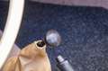 Porsche 356 Vintage Speedster Double weber Blanc - thumbnail 39