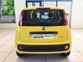 Fiat Panda Panda 1.0 FireFly S&S Hybrid Bianco - thumbnail 21