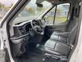 Ford Transit Pritsche 350 L3+Einzelka+Trend+Klima+AHK Blanc - thumbnail 8