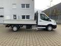 Ford Transit Pritsche 350 L3+Einzelka+Trend+Klima+AHK Blanc - thumbnail 3
